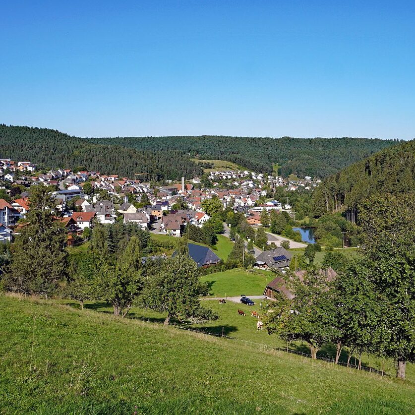 Tennenbronn im Spaetsommer 8