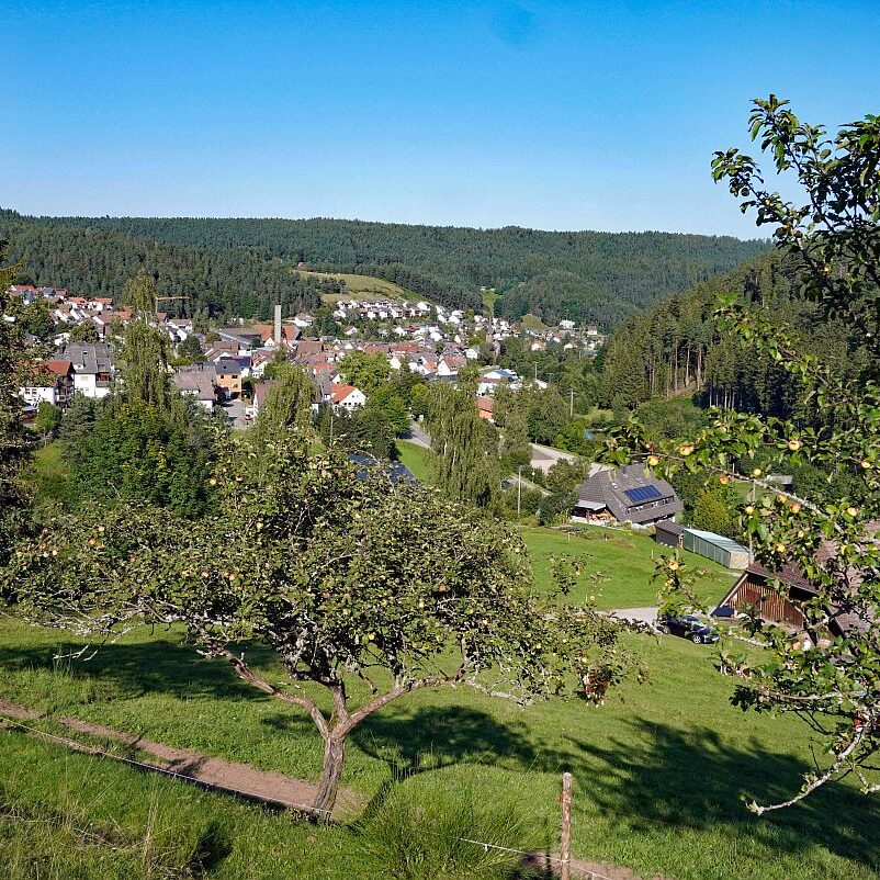 Tennenbronn im Spaetsommer 9