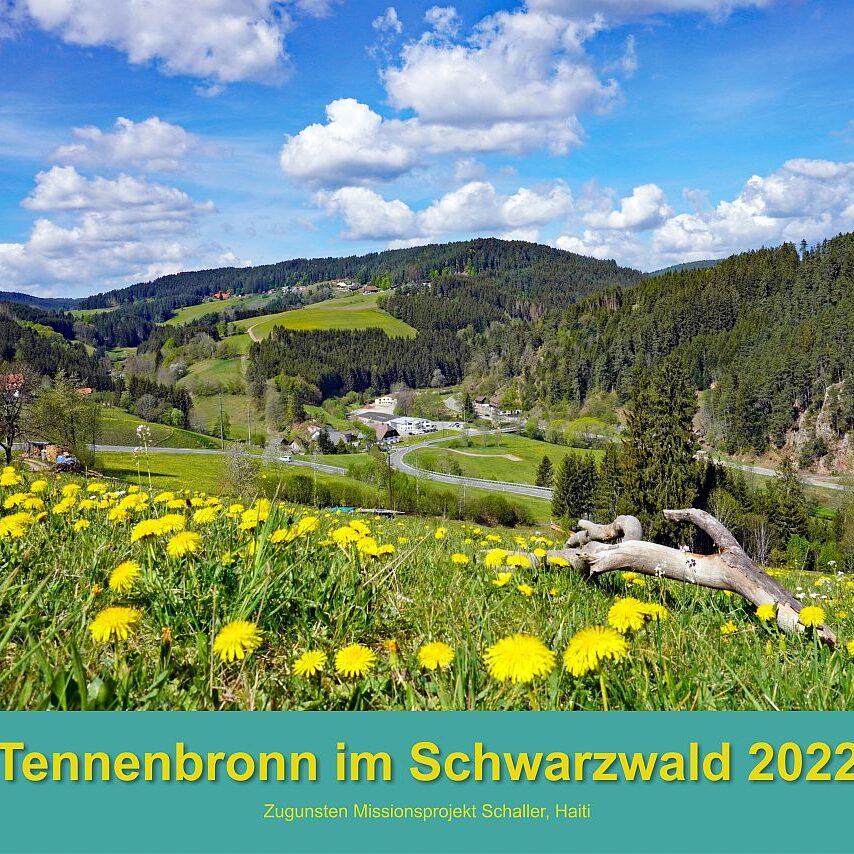 00 Deckblatt Altenburg Loewenzahn