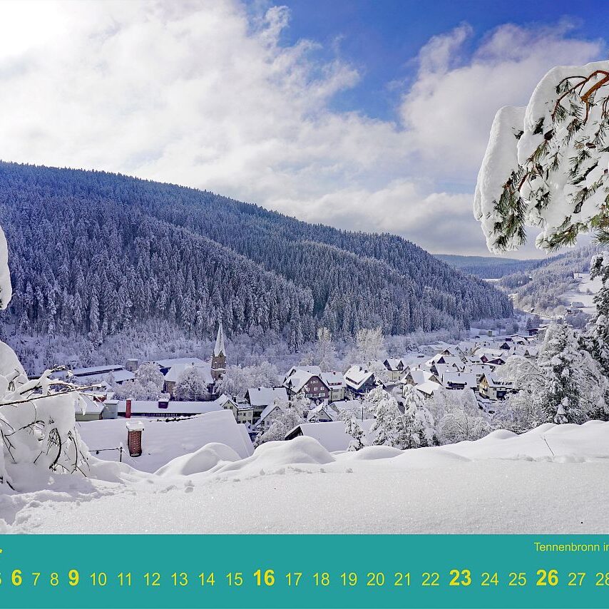 01 Dorfberg Tennenbronn