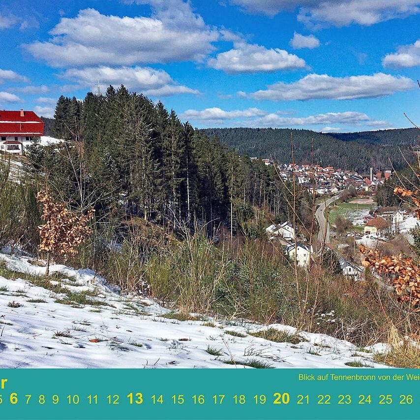 02 LindeBlickTennenbronn