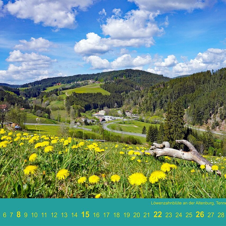 05 AltenburgLoewenzahn