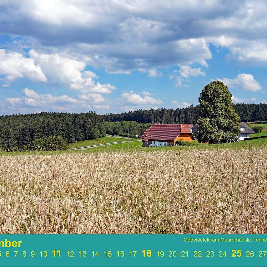 09 MaurerhaeusleGetreide
