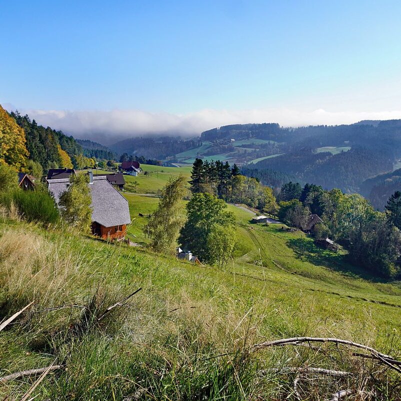Goldener Herbst in Tennenbronn 02