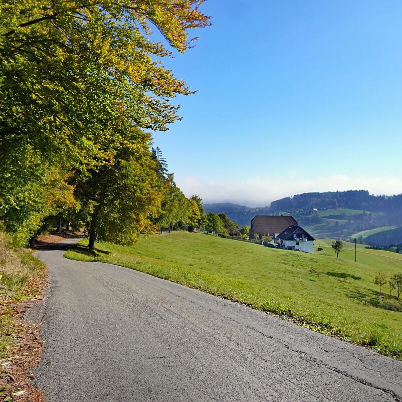 Goldener Herbst in Tennenbronn 03