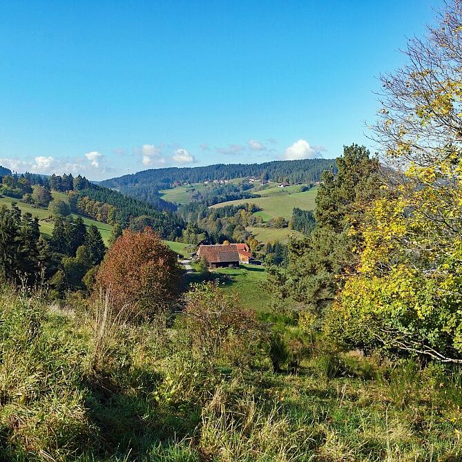 Goldener Herbst in Tennenbronn 04