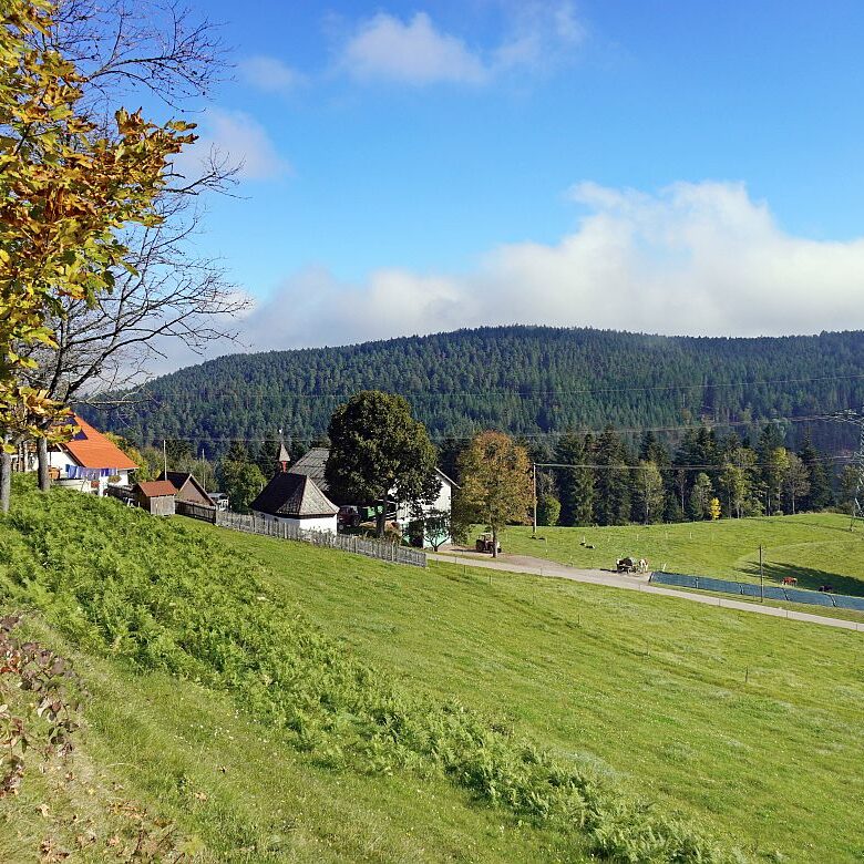 Goldener Herbst in Tennenbronn 06