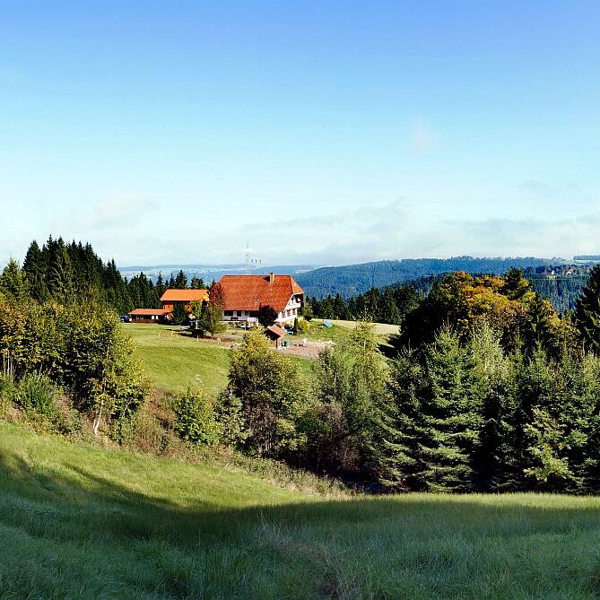 Goldener Herbst in Tennenbronn 08