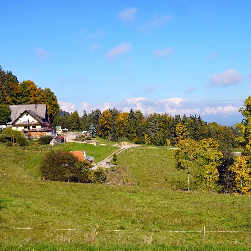 Goldener Herbst in Tennenbronn 09