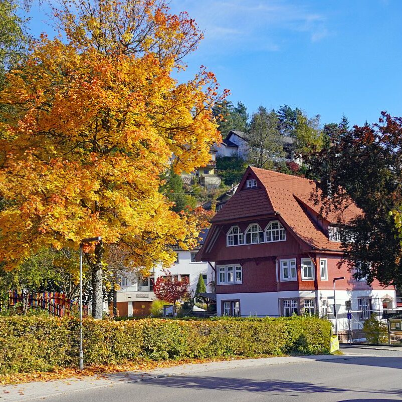 Goldener Herbst in Tennenbronn 10