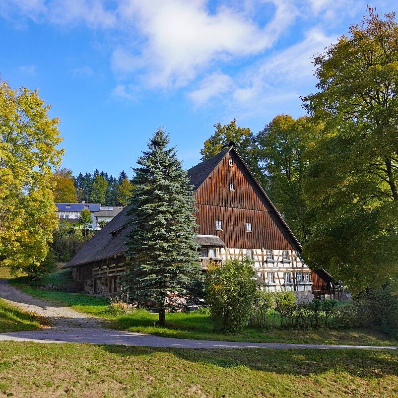 Goldener Herbst in Tennenbronn 11