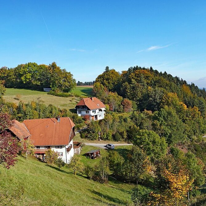 Goldener Herbst in Tennenbronn 12