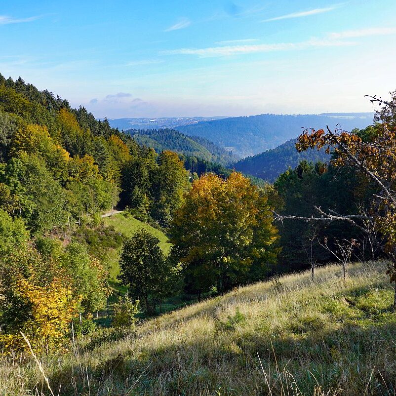 Goldener Herbst in Tennenbronn 13