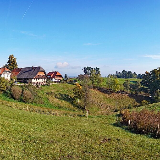 Goldener Herbst in Tennenbronn 15