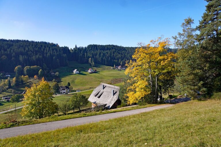 Goldener Herbst in Tennenbronn 16