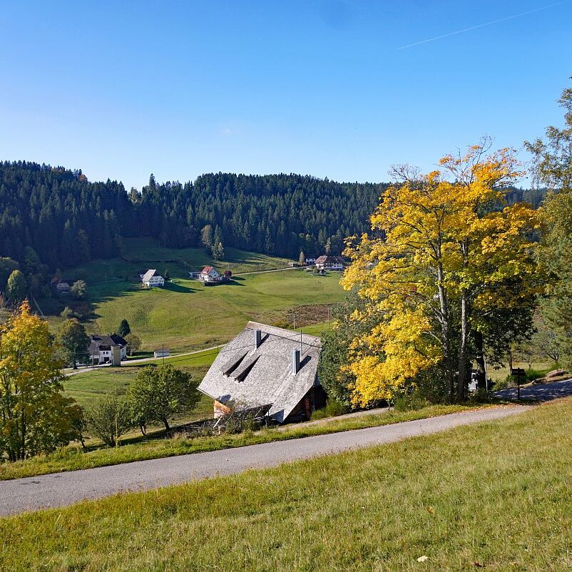 Goldener Herbst in Tennenbronn 16