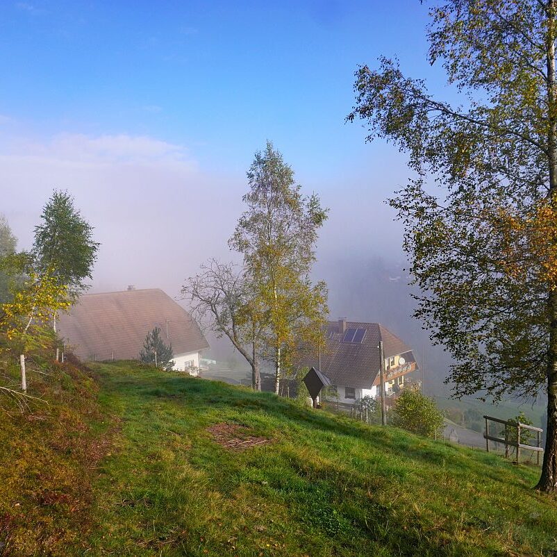 Herbstnebel in Tennenbronn 04