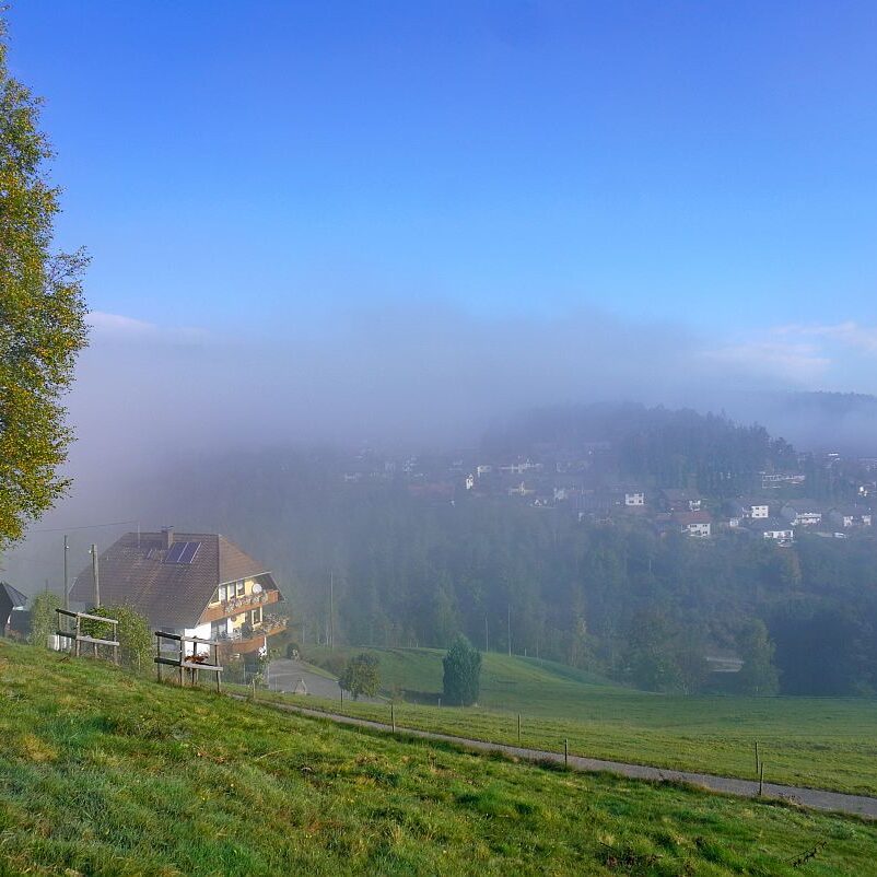 Herbstnebel in Tennenbronn 05