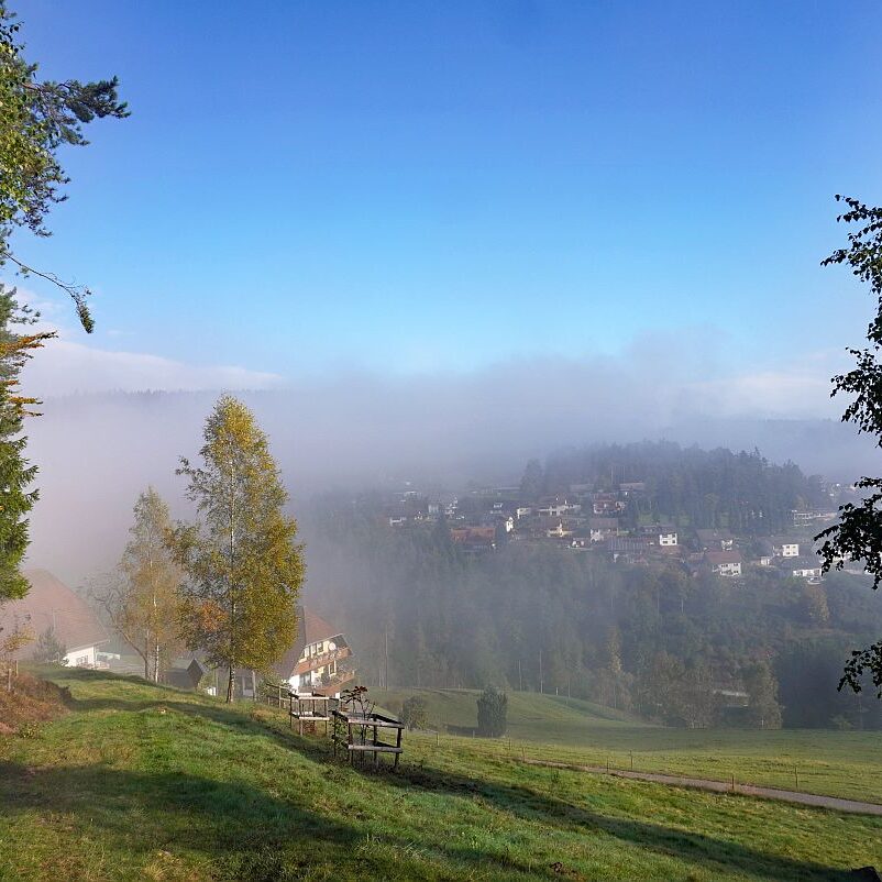 Herbstnebel in Tennenbronn 06