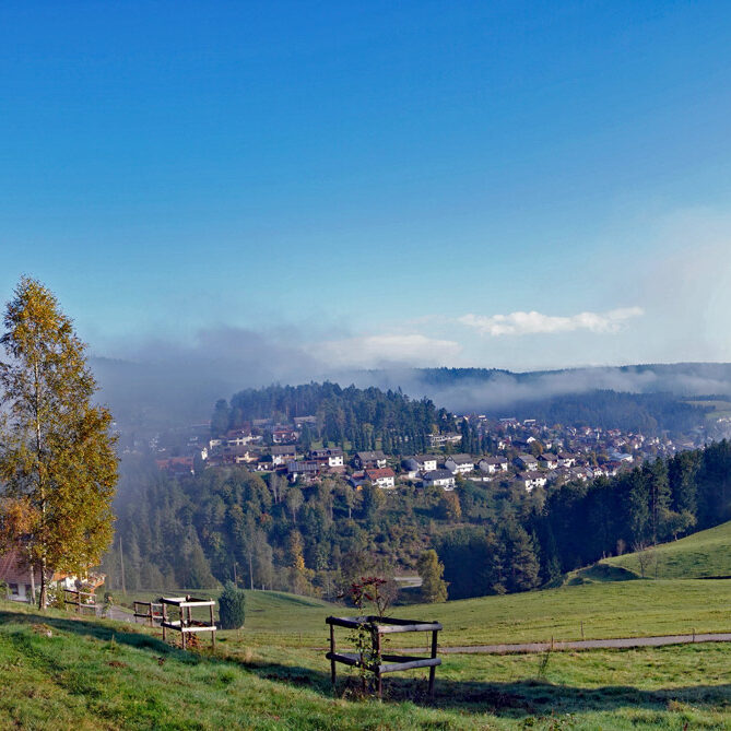 Herbstnebel in Tennenbronn 07
