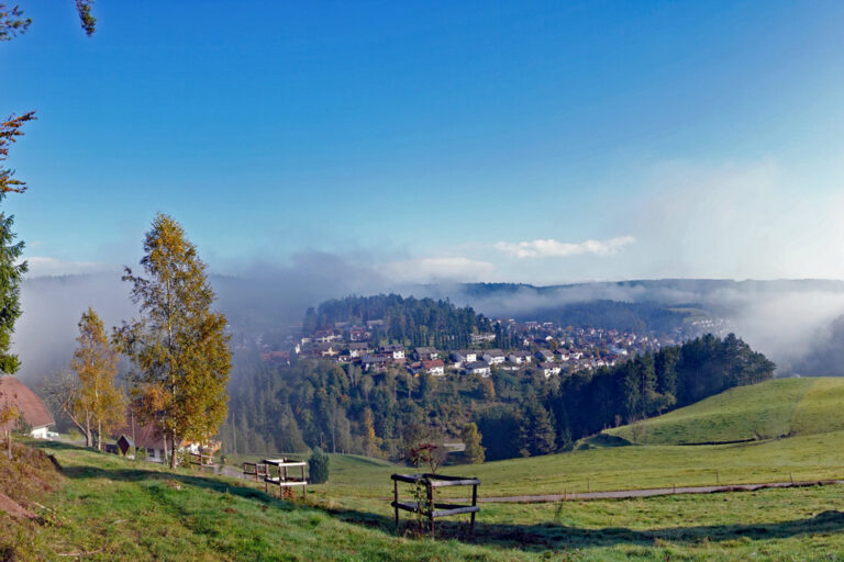 Herbstnebel in Tennenbronn 07