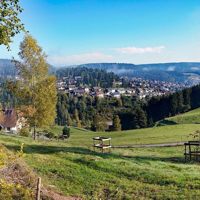 Herbstnebel in Tennenbronn 08