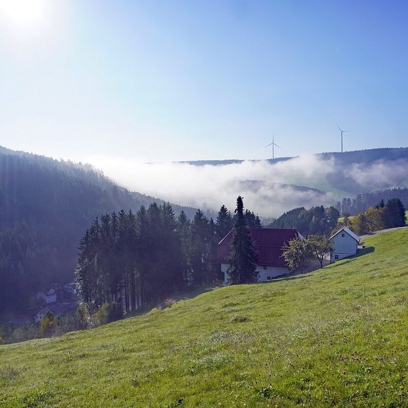 Herbstnebel in Tennenbronn 09
