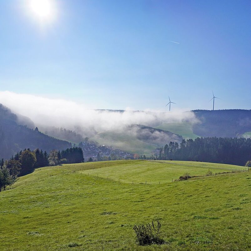 Herbstnebel in Tennenbronn 10