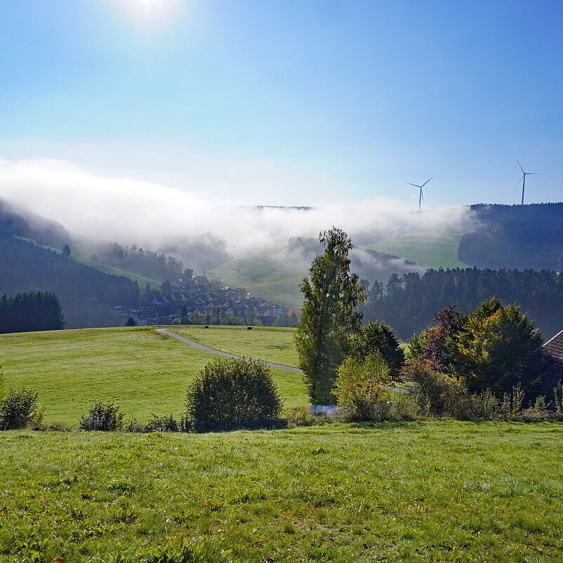 Herbstnebel in Tennenbronn 11