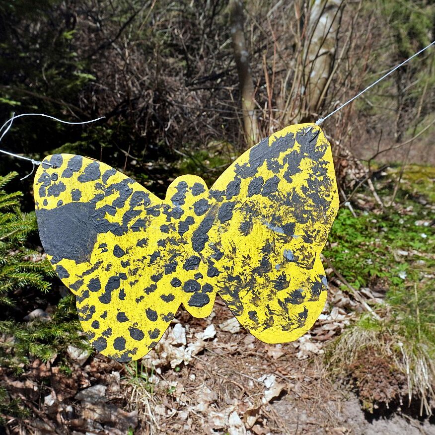 Schmetterlingspfad Tennenbronn 06