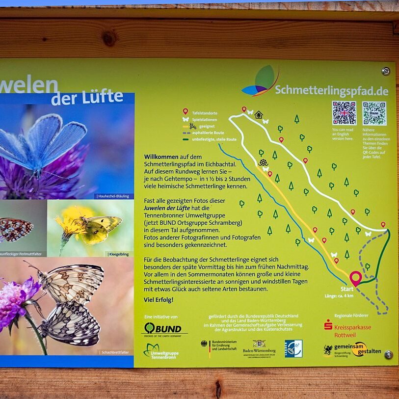 Schmetterlingspfad Tennenbronn 09
