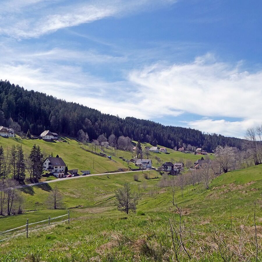 Schmetterlingspfad Tennenbronn 11