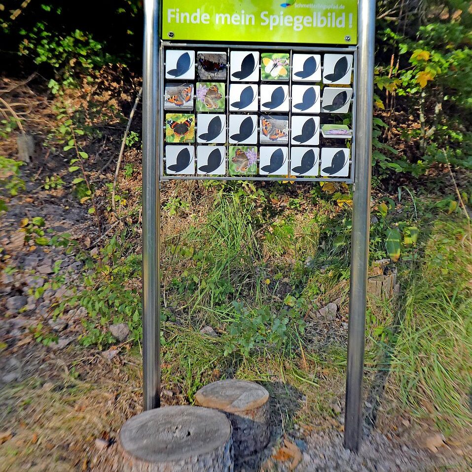 Schmetterlingspfad Tennenbronn 12