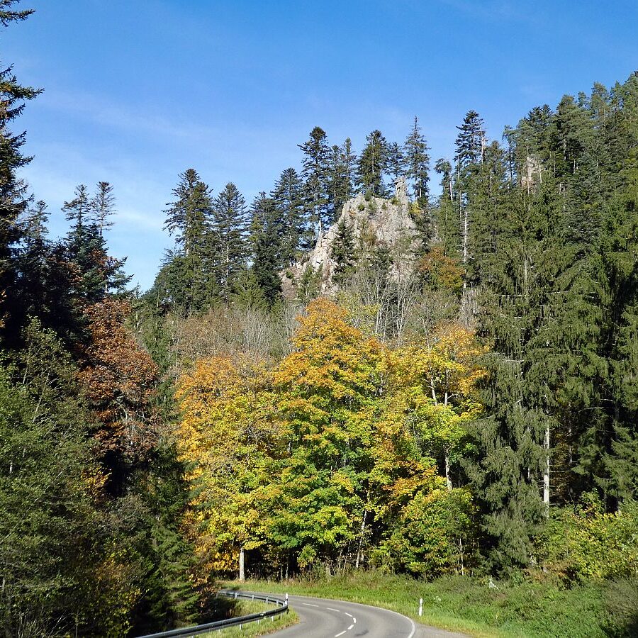 Das Bernecktal Tennenbronn im Herbst 1