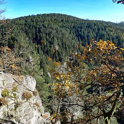Das Bernecktal Tennenbronn im Herbst 2