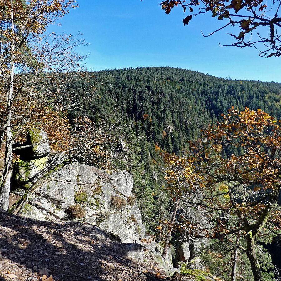 Das Bernecktal Tennenbronn im Herbst 3