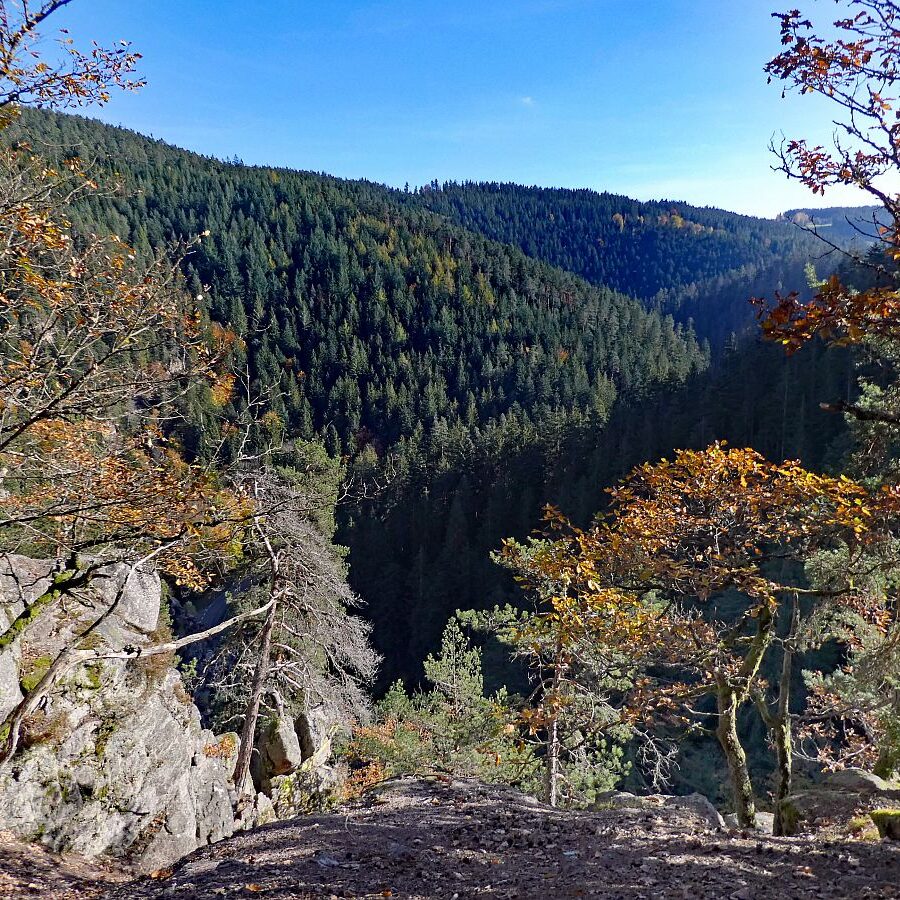 Das Bernecktal Tennenbronn im Herbst 4