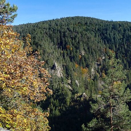 Das Bernecktal Tennenbronn im Herbst 5