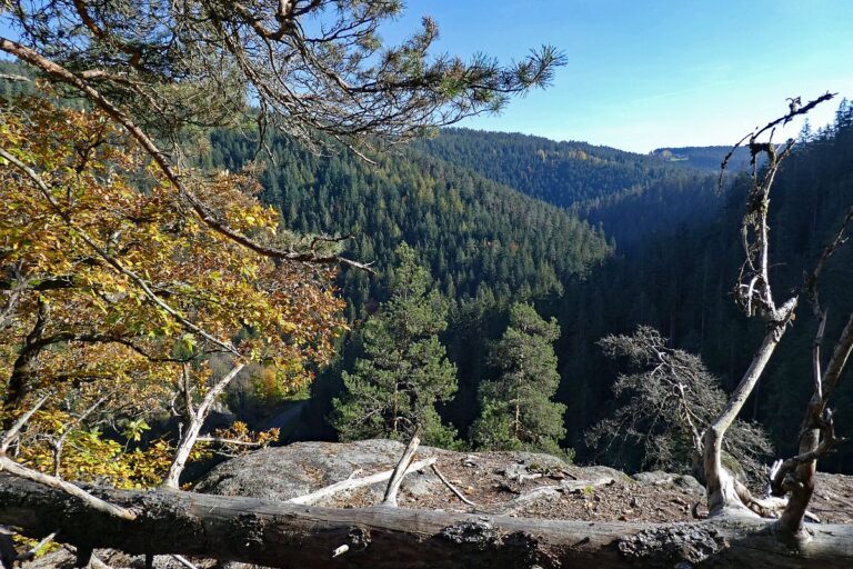 Das Bernecktal Tennenbronn im Herbst 6