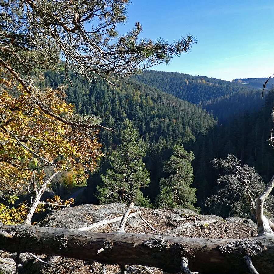 Das Bernecktal Tennenbronn im Herbst 6