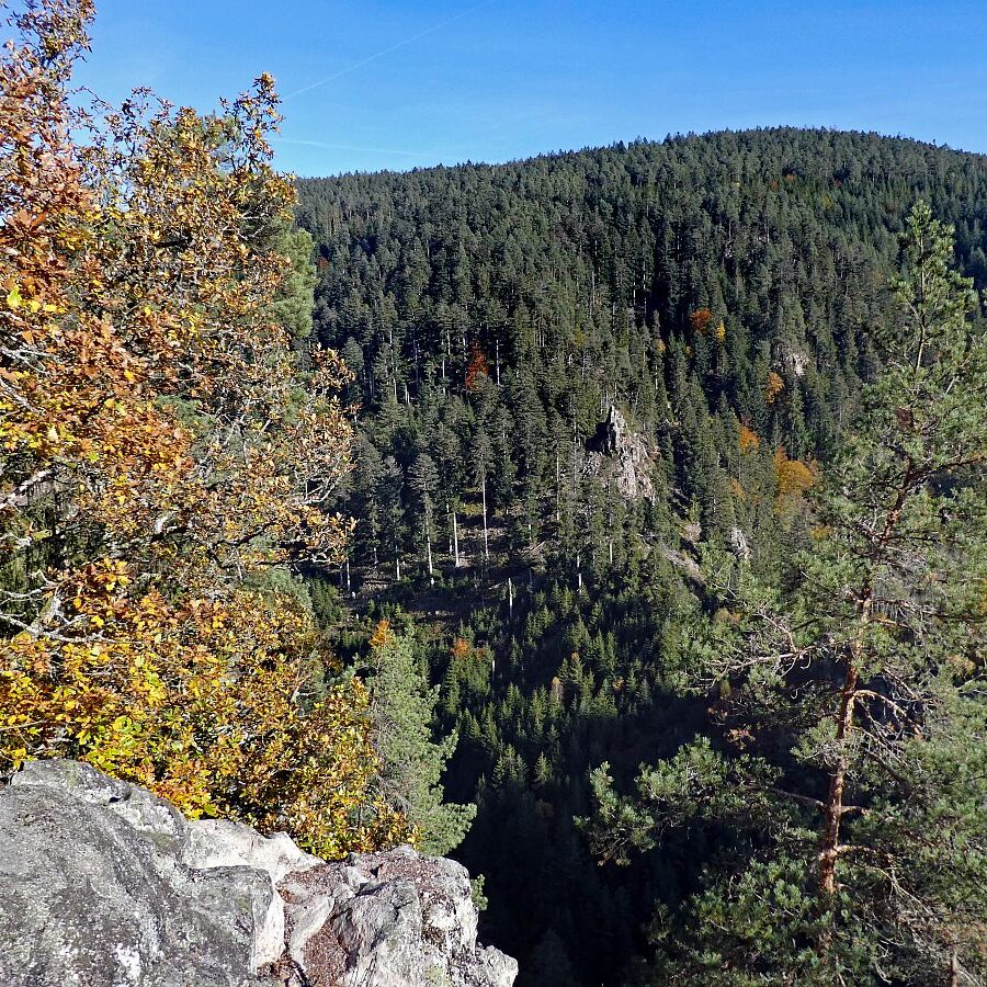 Das Bernecktal Tennenbronn im Herbst 7