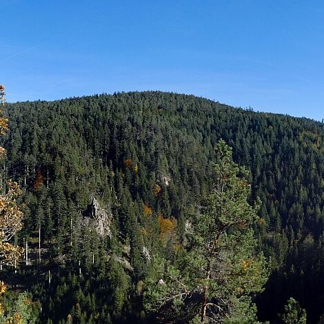 Das Bernecktal Tennenbronn im Herbst 8