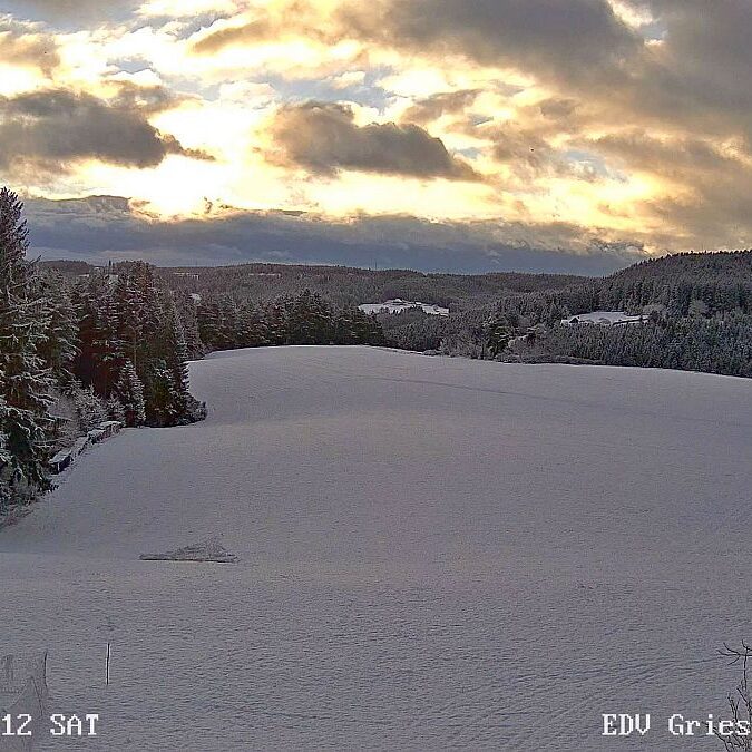 Sonnenaufgang sommermoos im Herbst 02 1