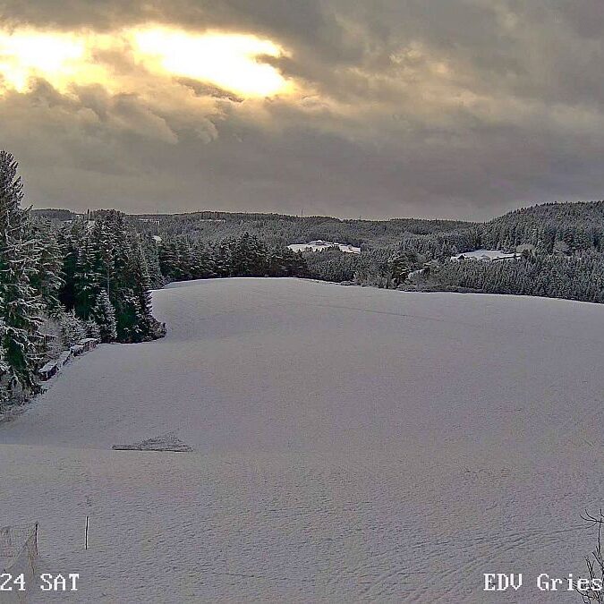 Sonnenaufgang sommermoos im Herbst 04 1