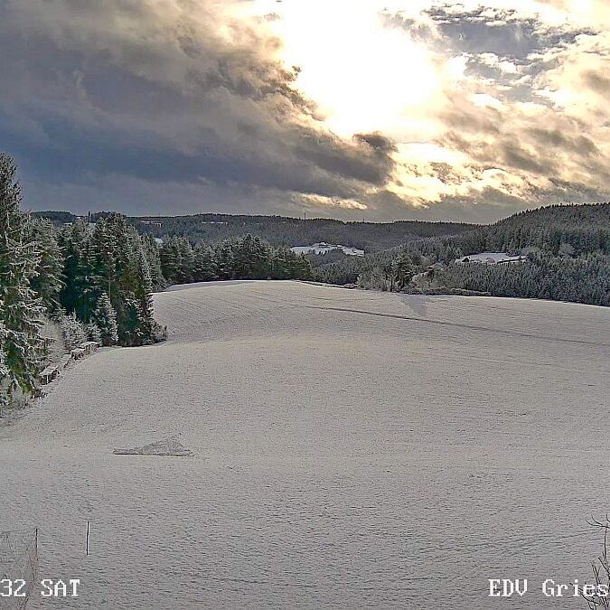 Sonnenaufgang sommermoos im Herbst 05 1