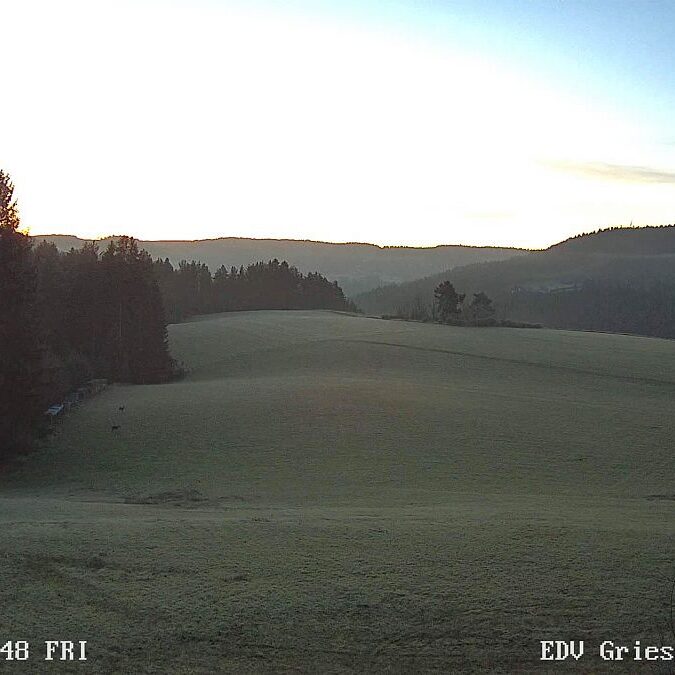 Sonnenaufgang sommermoos im Herbst 10