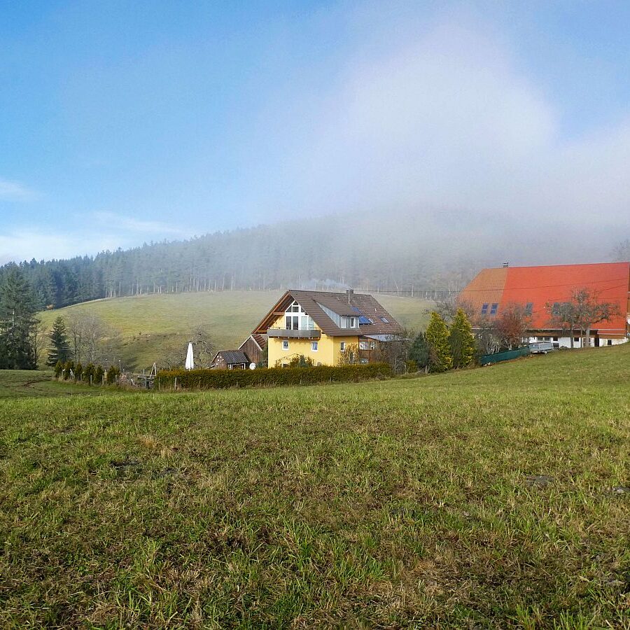 Mittelbergrunde im Nebel 01