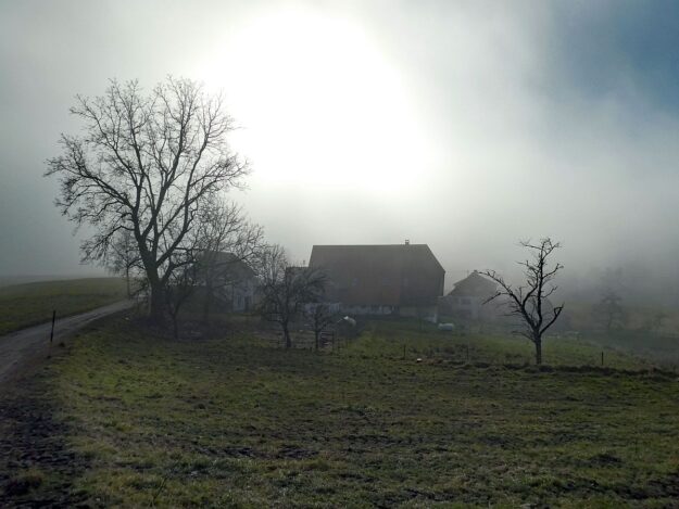 Mittelbergrunde im Nebel 03