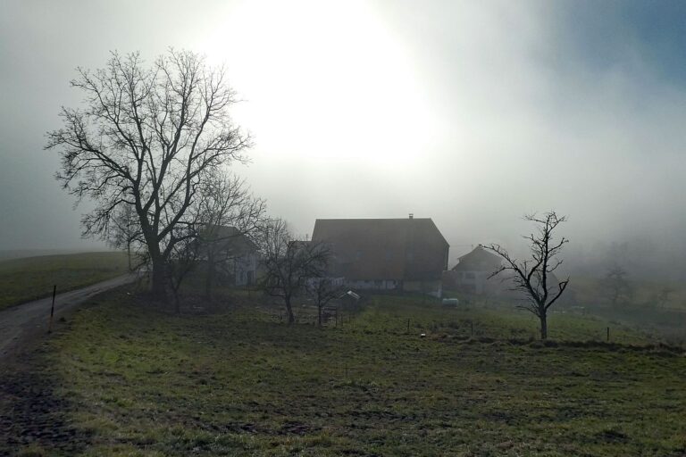 Mittelbergrunde im Nebel 03