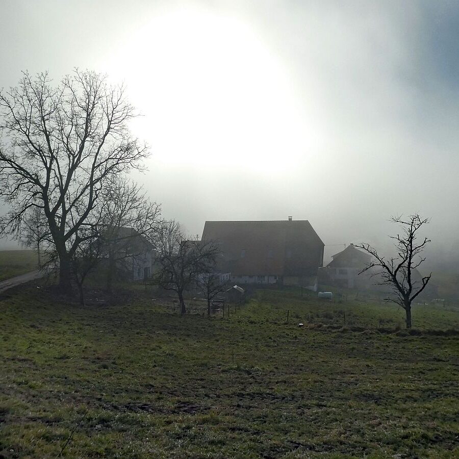 Mittelbergrunde im Nebel 03
